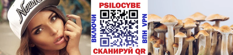 Псилоцибиновые грибы Magic Shrooms  Купить закладки  Тулун 